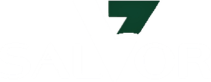 Salvor Project