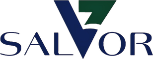 Salvor Project
