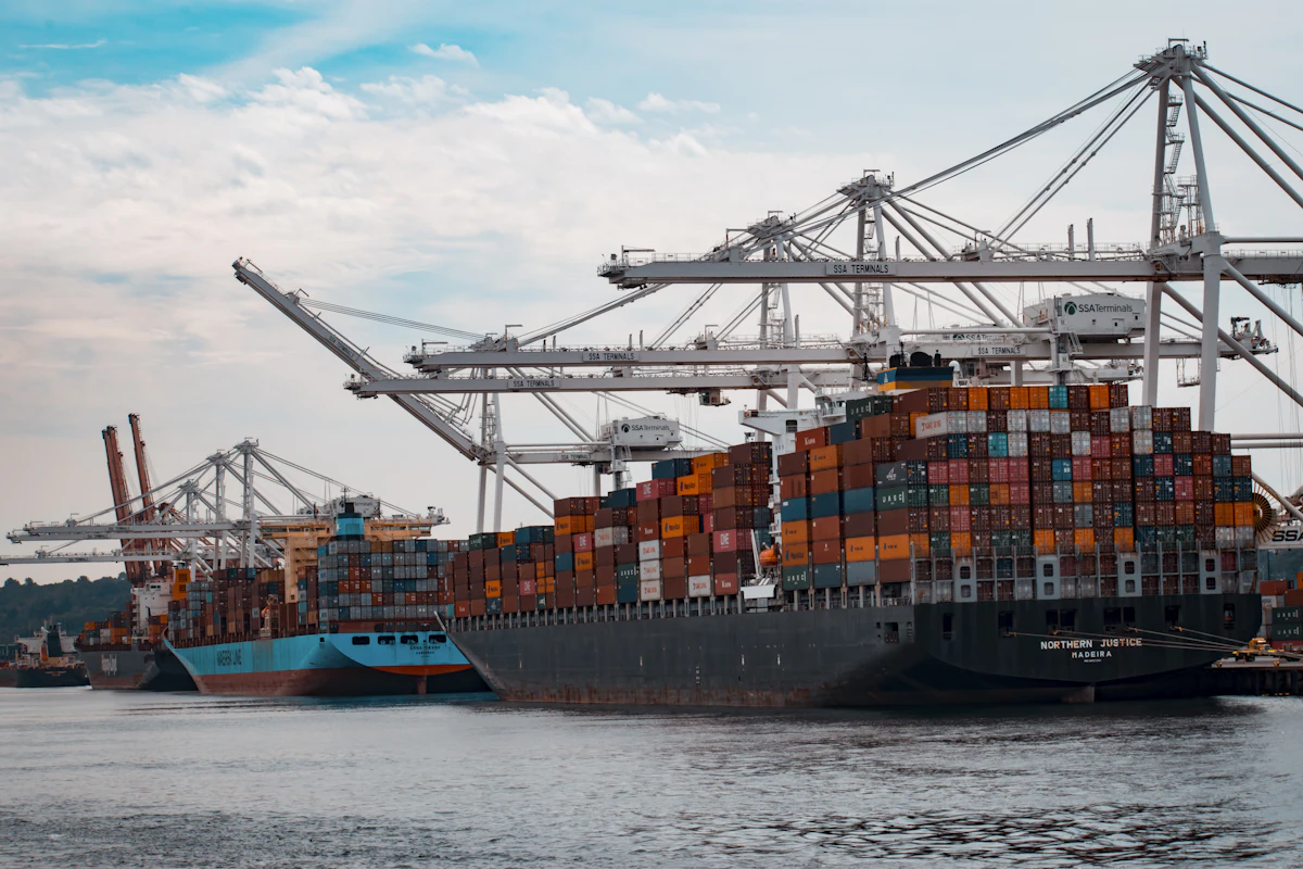 Container vessels and port gantry cranes handling heavy cargo